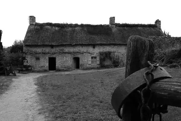 Artisan Monte Escalier Pose monte escalier Brech