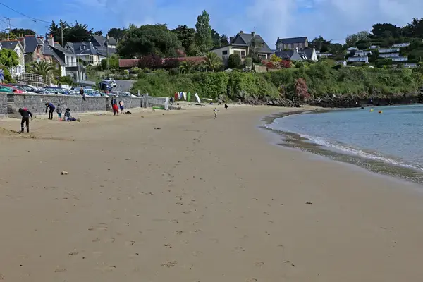 Artisan Monte Escalier Pose monte escalier Cancale