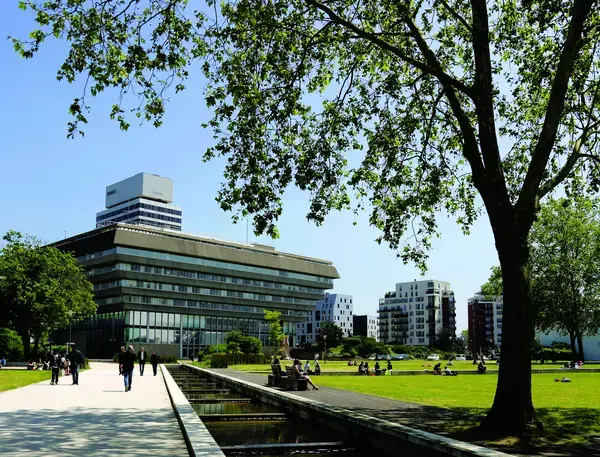 Artisan Monte Escalier Pose monte escalier Cergy