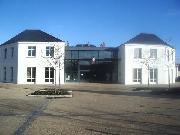 Artisan Monte Escalier Pose monte escalier Cesson