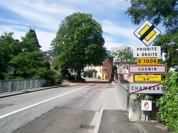 Artisan Monte Escalier Pose monte escalier Cognin