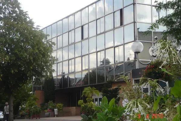 Artisan Monte Escalier Pose monte escalier Denain