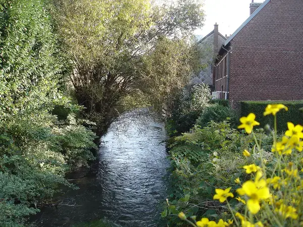 Artisan Monte Escalier Pose monte escalier Déville-lès-Rouen