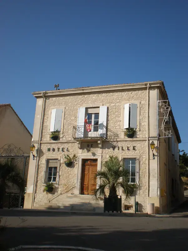 Artisan Monte Escalier Pose monte escalier Donzère