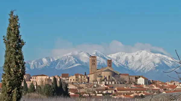 Artisan Monte Escalier Pose monte escalier Elne