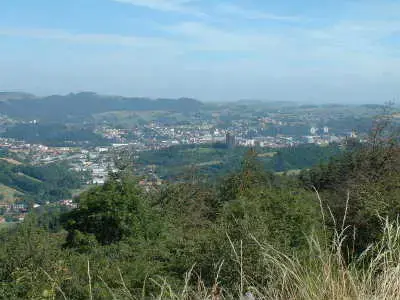 Artisan Monte Escalier Pose monte escalier Firminy