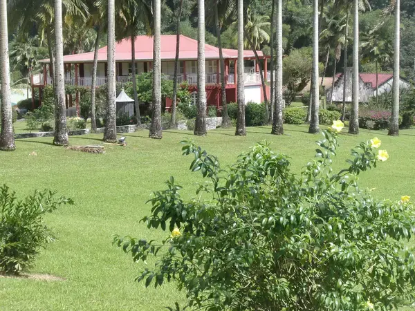 Artisan Monte Escalier Pose monte escalier Gros-Morne