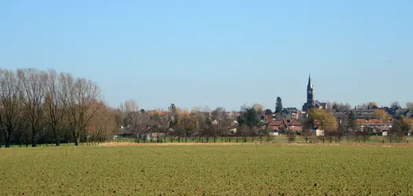 Artisan Monte Escalier Pose monte escalier Halluin