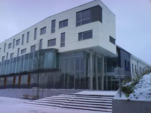 Artisan Monte Escalier Pose monte escalier Haubourdin