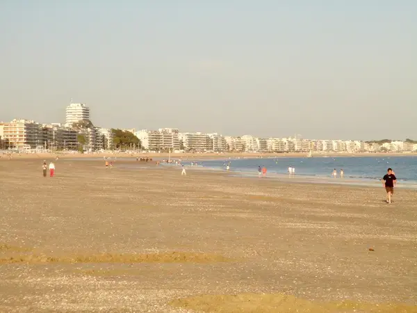 Artisan Monte Escalier Pose monte escalier La Baule-Escoublac
