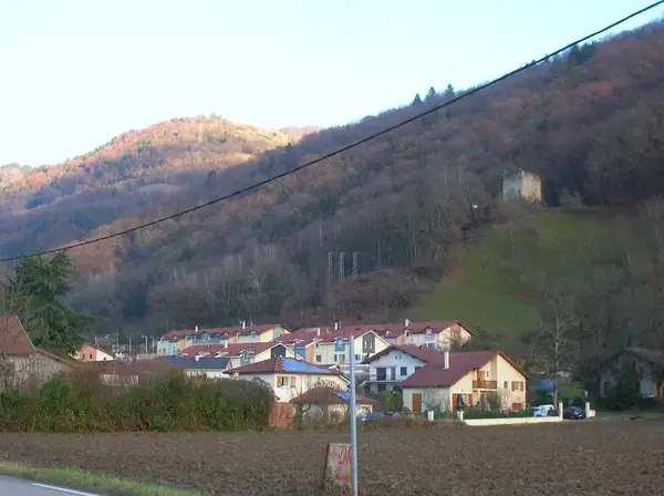 Artisan Monte Escalier Pose monte escalier Le Versoud