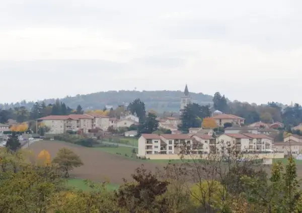 Artisan Monte Escalier Pose monte escalier Lentilly