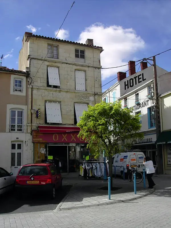 Artisan Monte Escalier Pose monte escalier Luçon