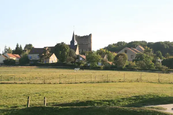 Artisan Monte Escalier Pose monte escalier Maurepas