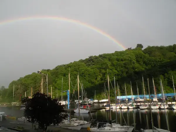 Artisan Monte Escalier Pose monte escalier Plérin
