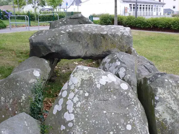 Artisan Monte Escalier Pose monte escalier Ploufragan