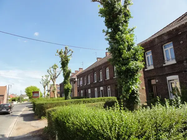 Artisan Monte Escalier Pose monte escalier Quiévrechain