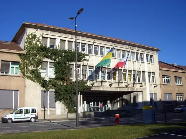Artisan Monte Escalier Pose monte escalier Saint-Martin-d'Hères