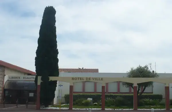 Artisan Monte Escalier Pose monte escalier Saleilles
