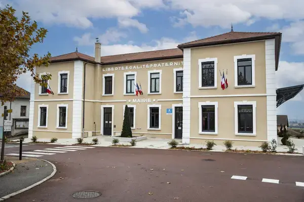 Artisan Monte Escalier Pose monte escalier Satolas-et-Bonce