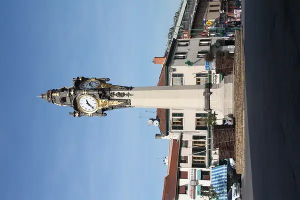 Artisan Monte Escalier Pose monte escalier Tassin-la-Demi-Lune