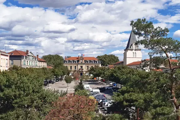 Artisan Monte Escalier Pose monte escalier Vénissieux