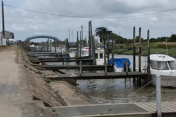 Artisan Monte Escalier Pose monte escalier Villeneuve-en-Retz