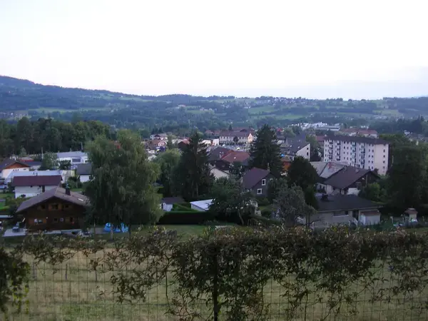 Artisan Monte Escalier Pose monte escalier Viuz-en-Sallaz